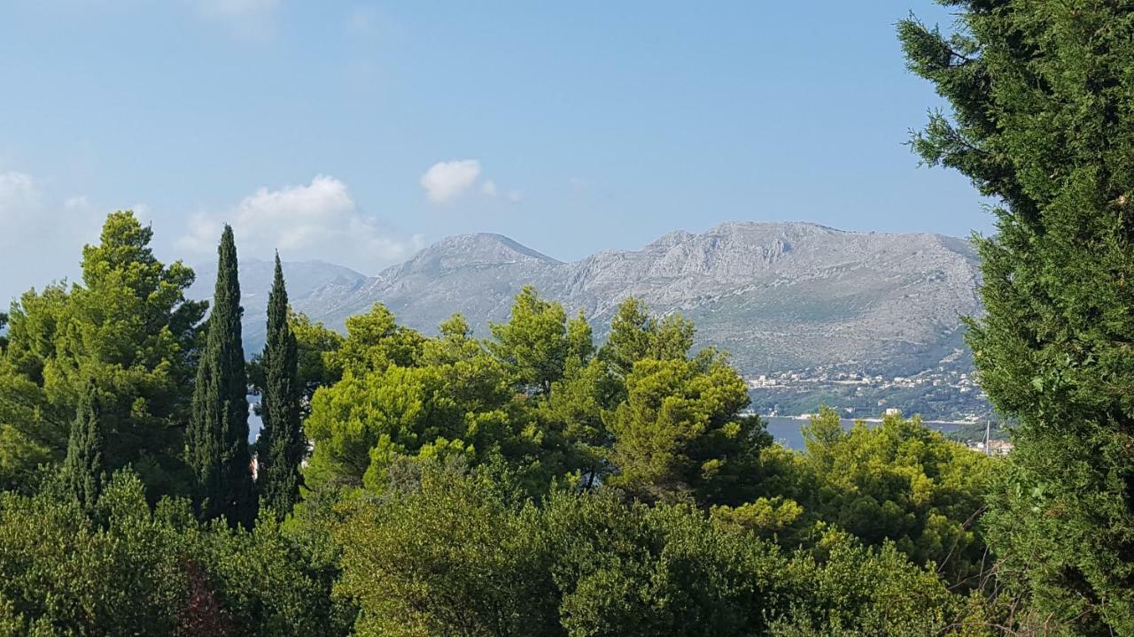 Guest House Sol Cavtat Exterior foto